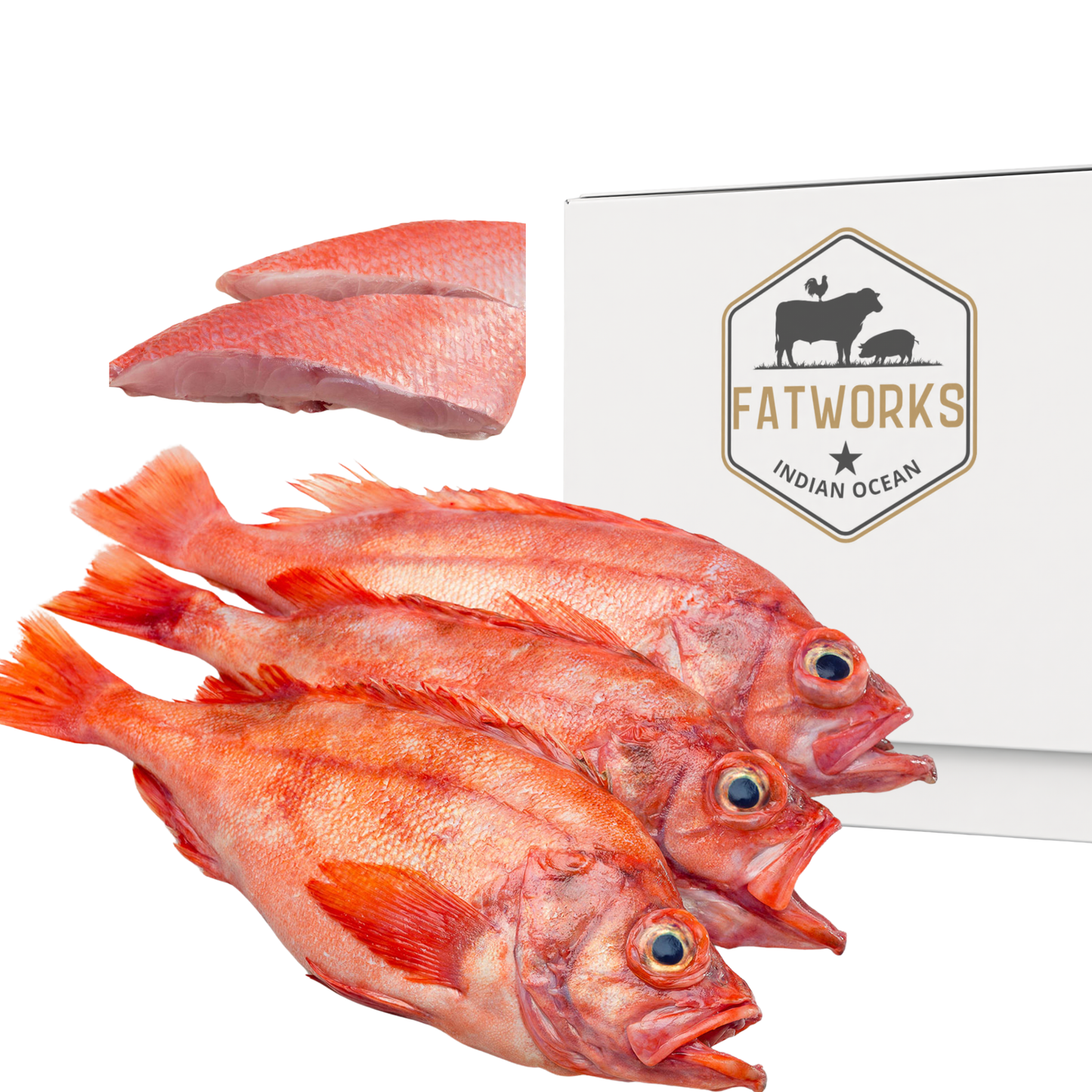 1.2kg Fresh Reds Fish (Indian Ocean)