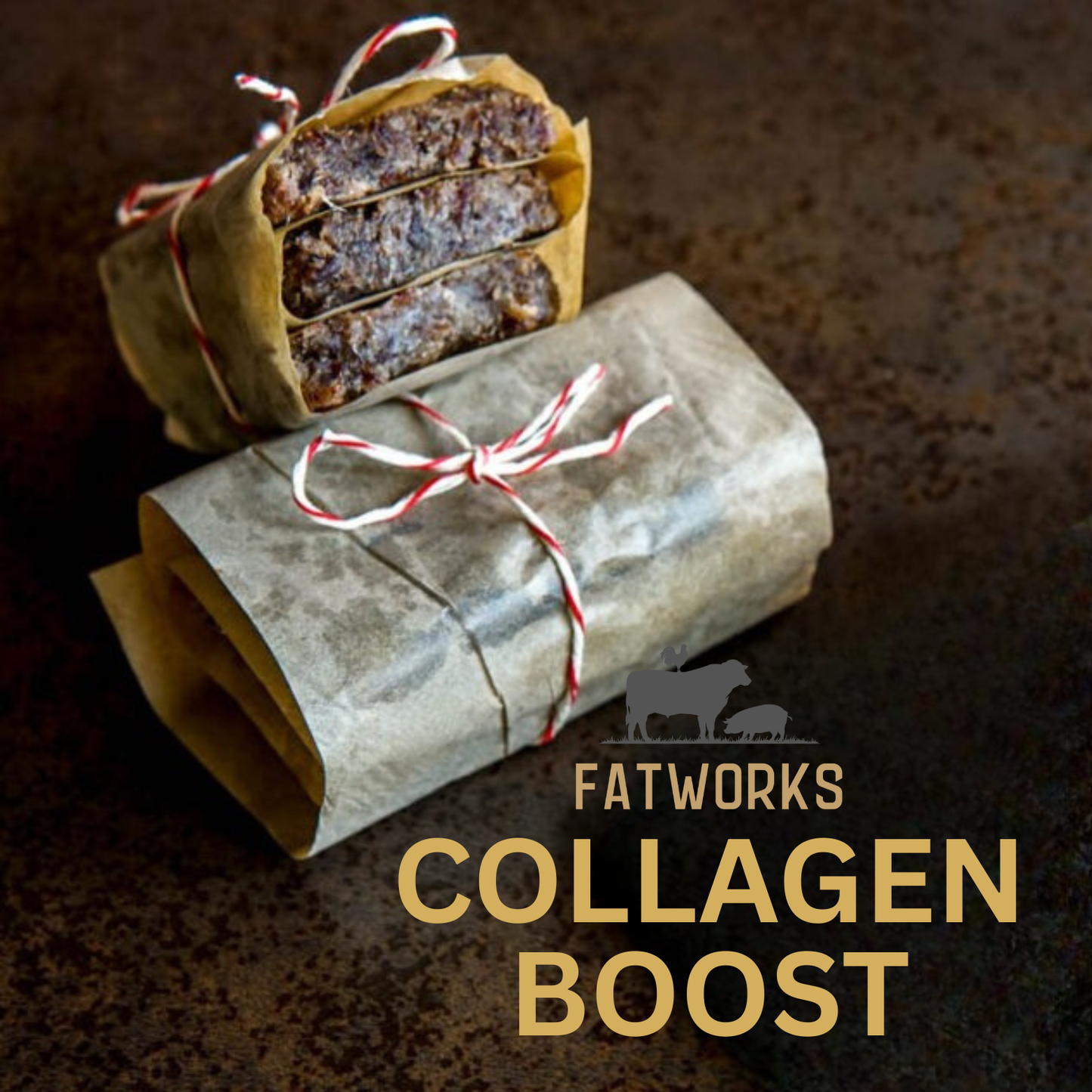 Fatworks Pemmican – Collagen Boost Pemmican